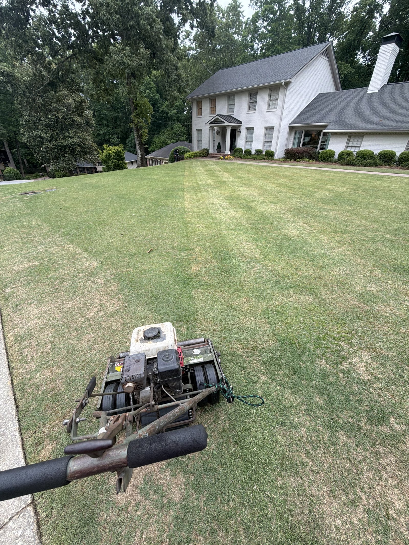 Commercial Lawn Mowing