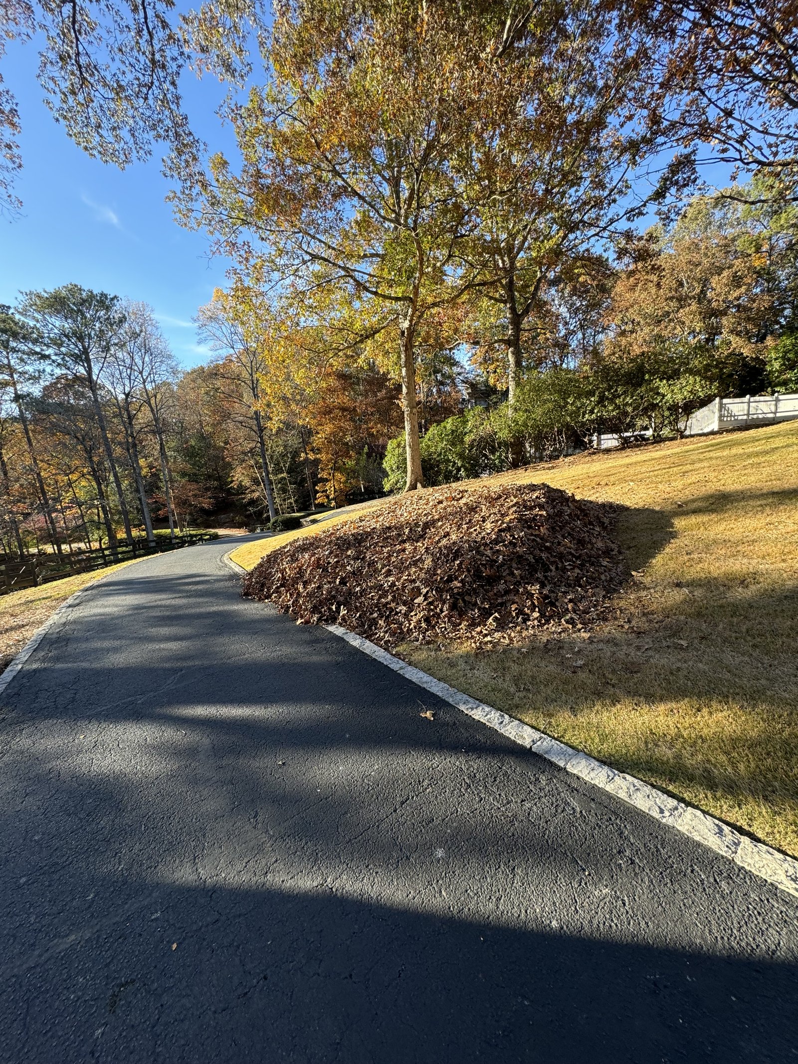Fall Leaves Cleanup