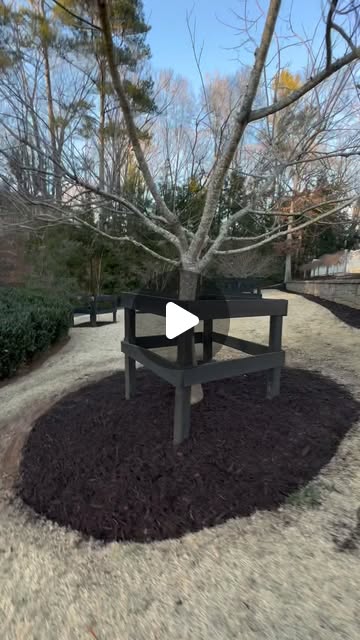 Tree Ring Mulching