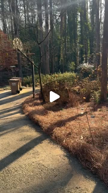 Front Yard Refresh