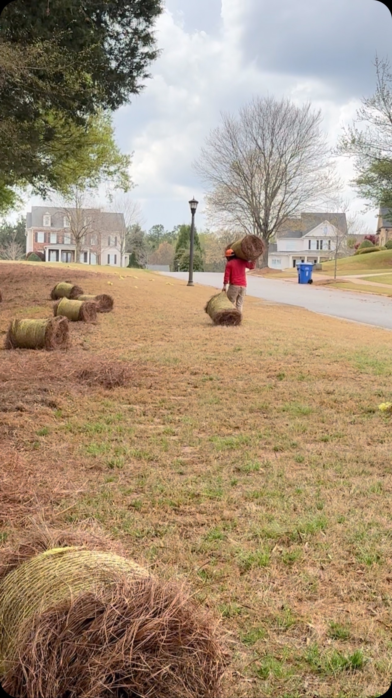 Residential Pine Straw