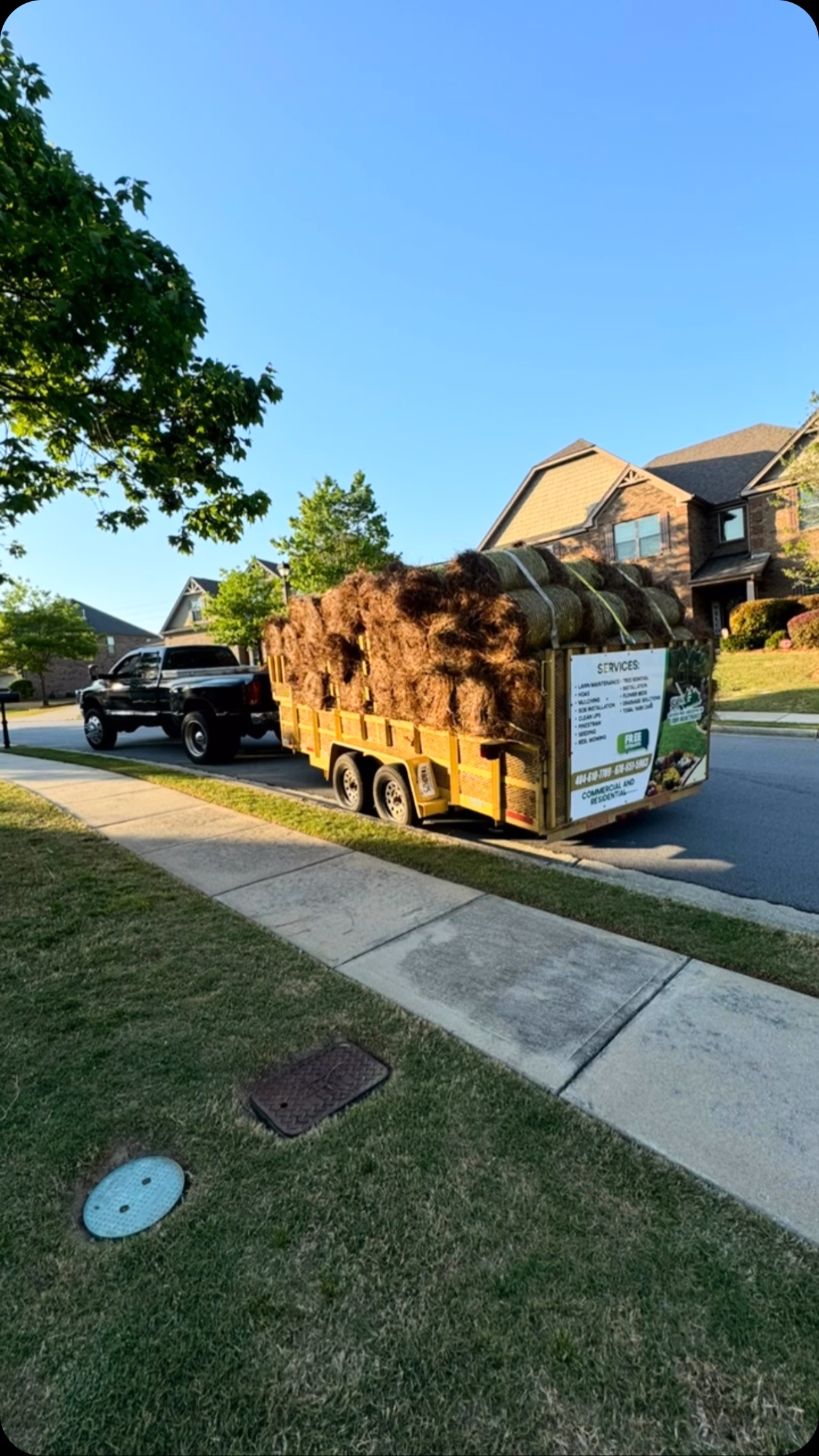 Fresh Long Needle Installation