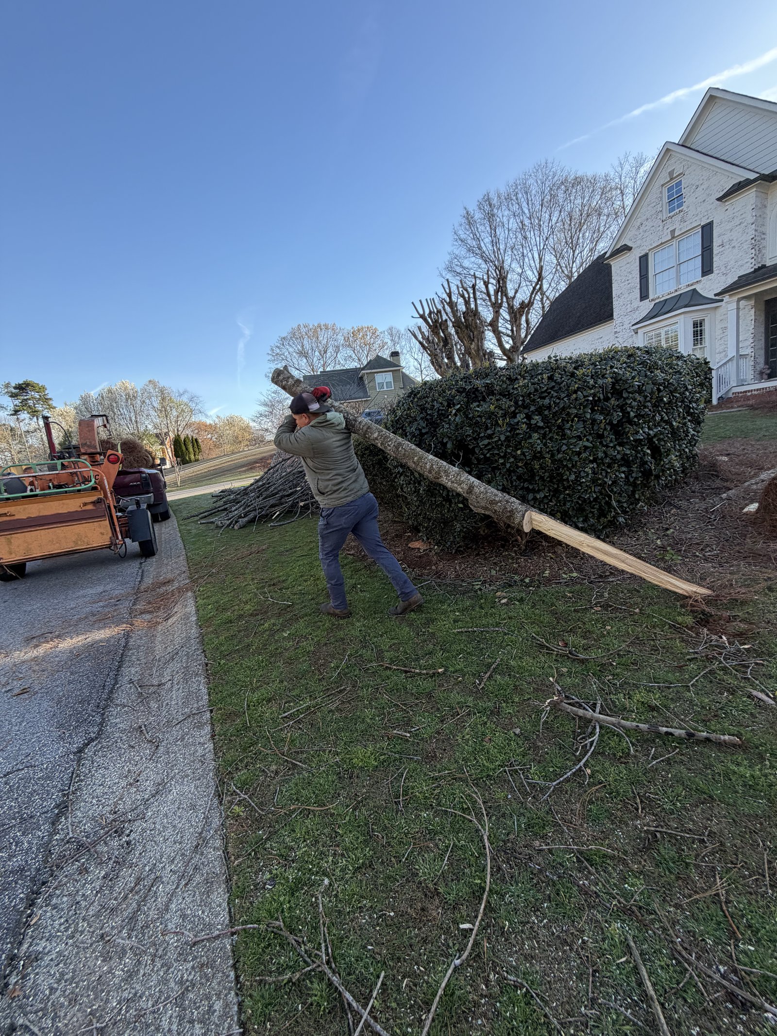 Tree Trunk Hauling